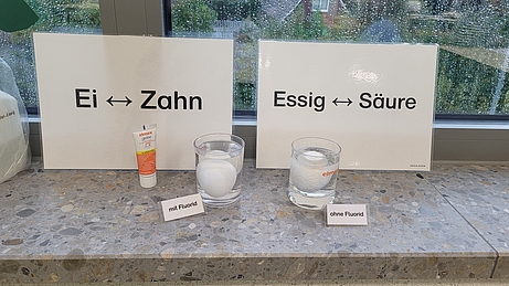 Kinder lernen viel über gesunde Zähne.
