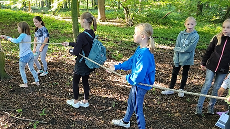 Die Kinder erkunden den Wald.