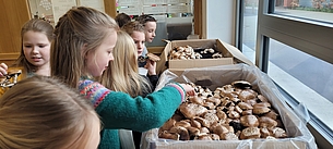 Die Kinder freuen sich über die Pilzernte.