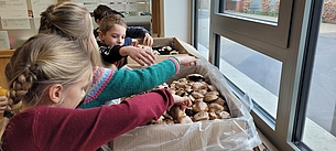 Die Kinder freuen sich über die Pilzernte.