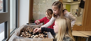Die Kinder freuen sich über die Pilzernte.