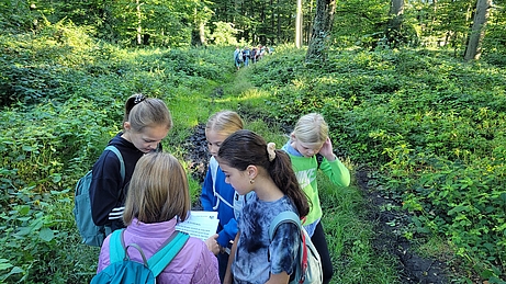 Die Kinder erkunden den Wald.