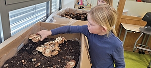Die Kinder freuen sich über die Pilzernte.