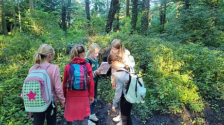 Die Kinder erkunden den Wald.