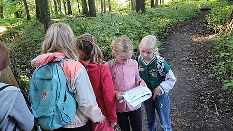 Die Kinder erkunden den Wald.